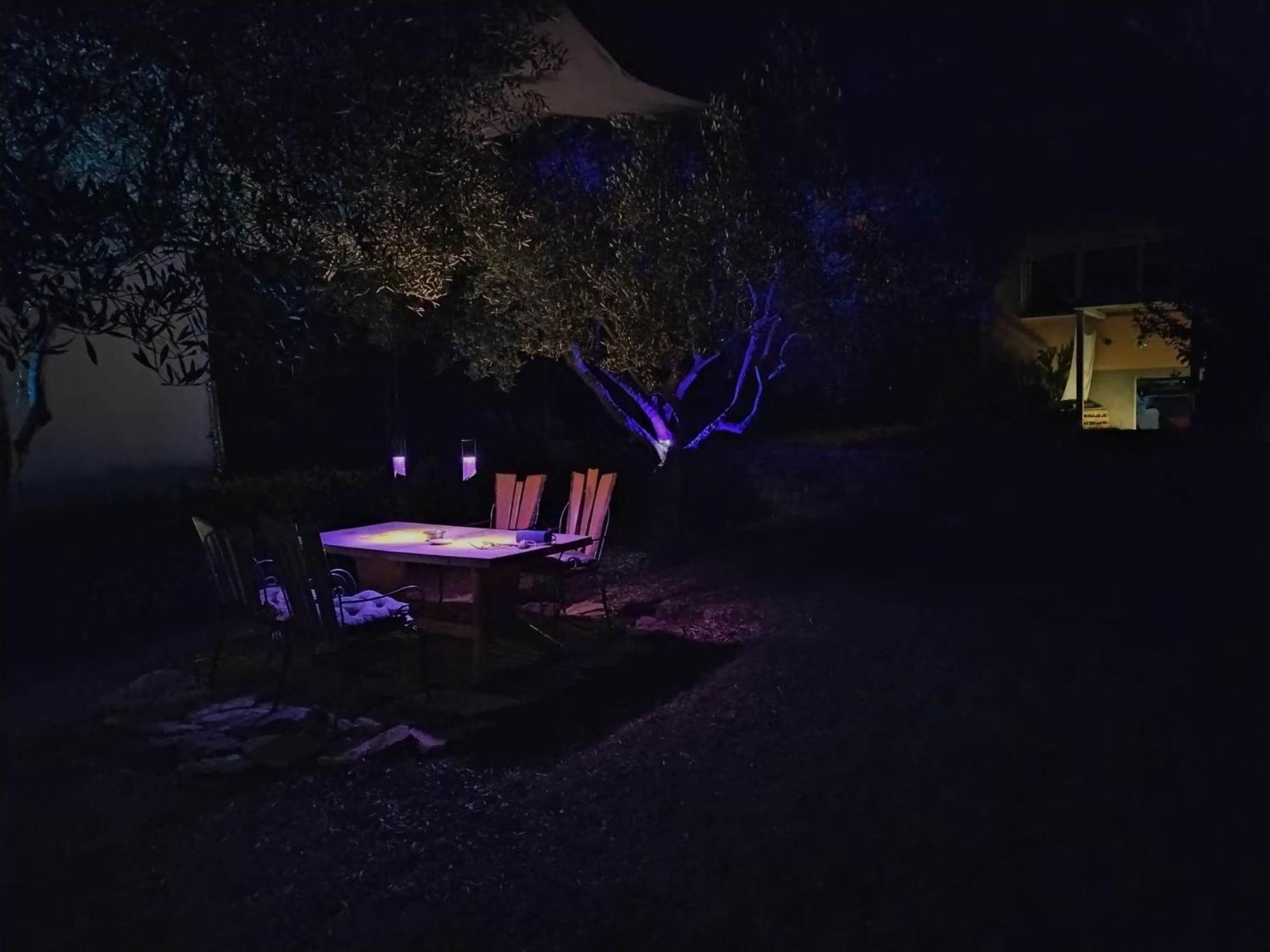Oliver Art Apartment Poreč Buitenkant foto